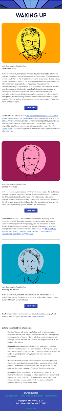 Sam Harris's newsletter design