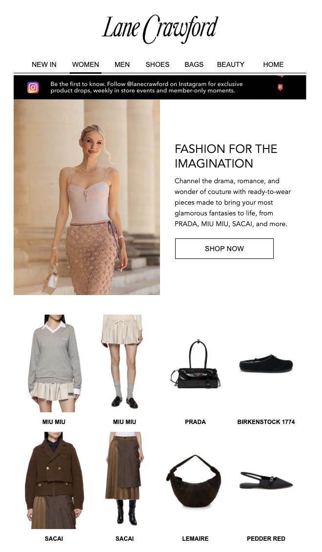 Lane Crawford email shows style recommendations using AI