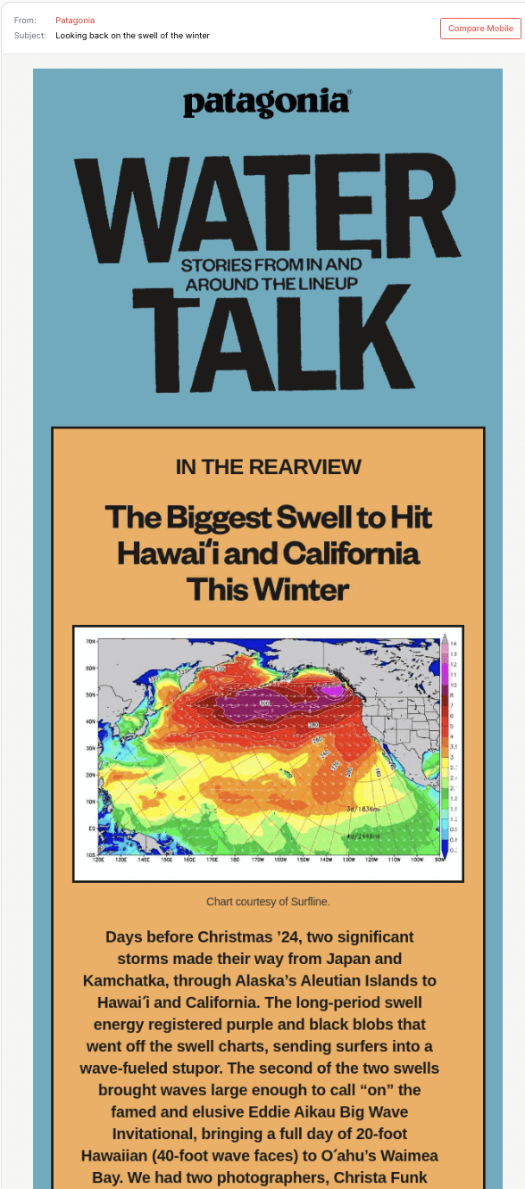 Patagonia Water Talk email shows brand values rather than simple product promotion