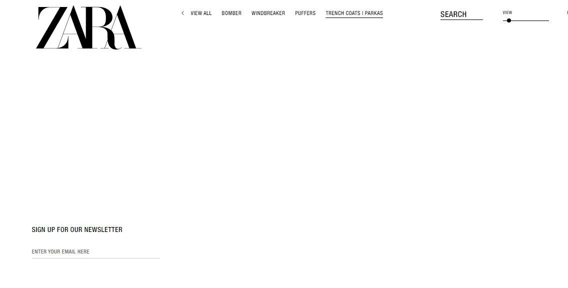 A sign-up form for Zara's newsletter is displayed with fields for email and search, alongside the Zara logo.