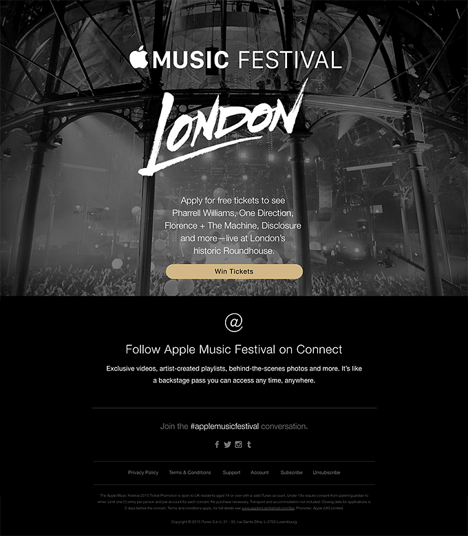 Music Festival Invitation