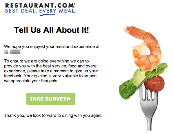 Restaurant survey email
