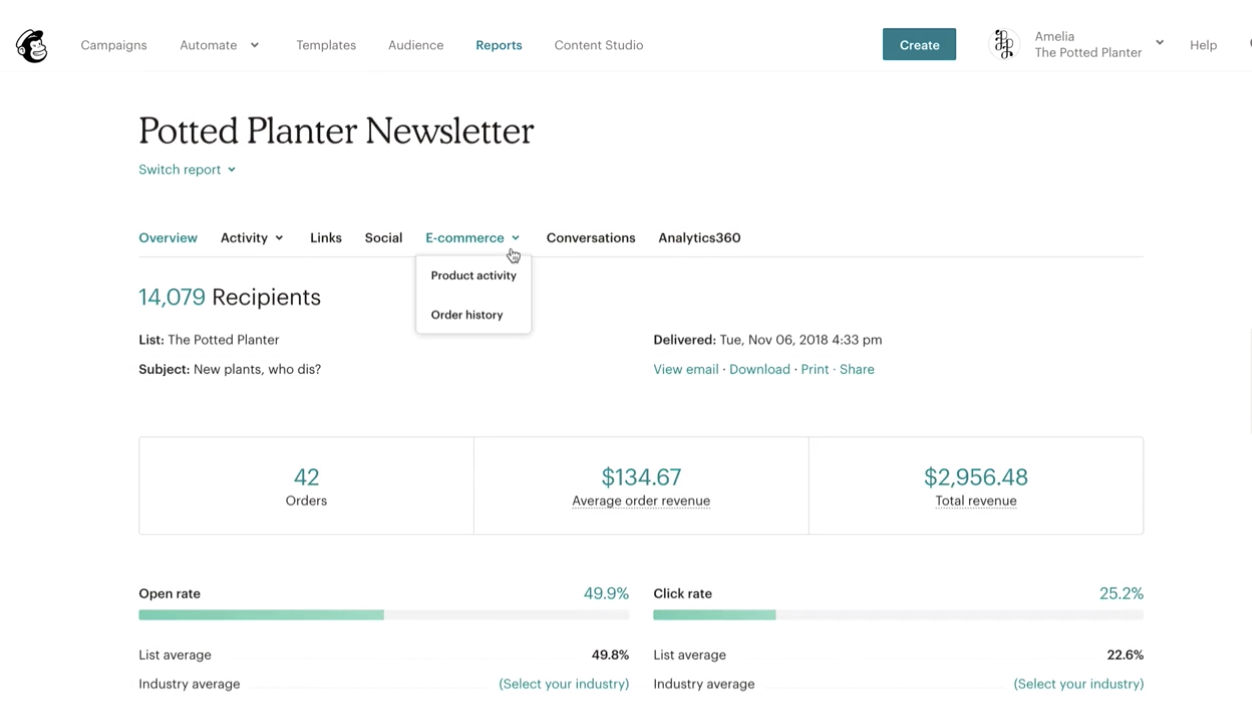 Mailchimp newsletter report