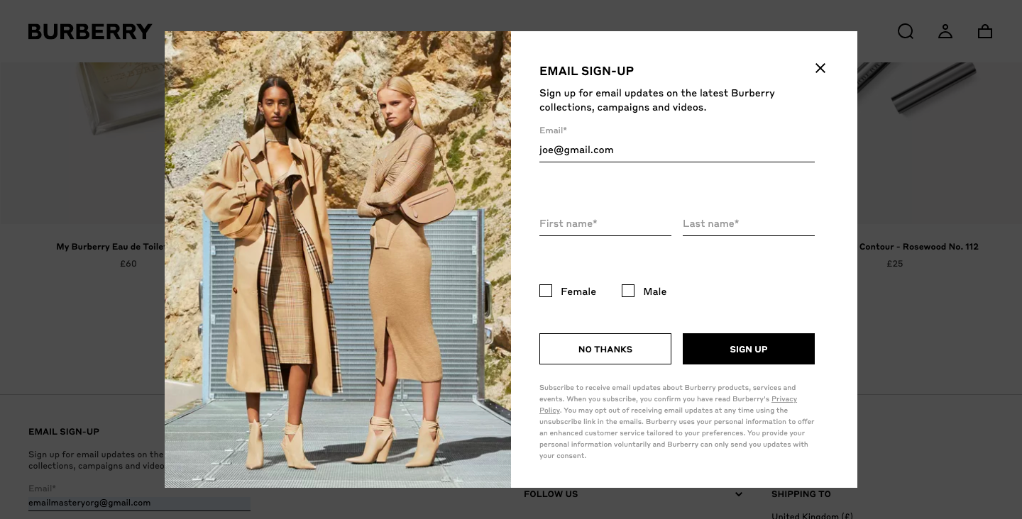 email marketing luxury brand