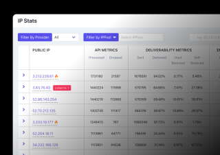 A table displays various metrics, including public IP addresses, API metrics, delivered metrics, and filter by provider, with data organized into columns.