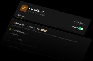 A dark-background-only interface displays information about the Campaign TTL (Time to Live) service, featuring a time limit, enablement status, and TTL duration.