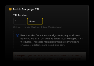 A dark campaign interface displays TTL duration, automatic email delivery notification, and example TTL calculation.