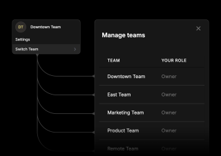 A dark-colored team management interface features settings for a Downtown Team, listed under 